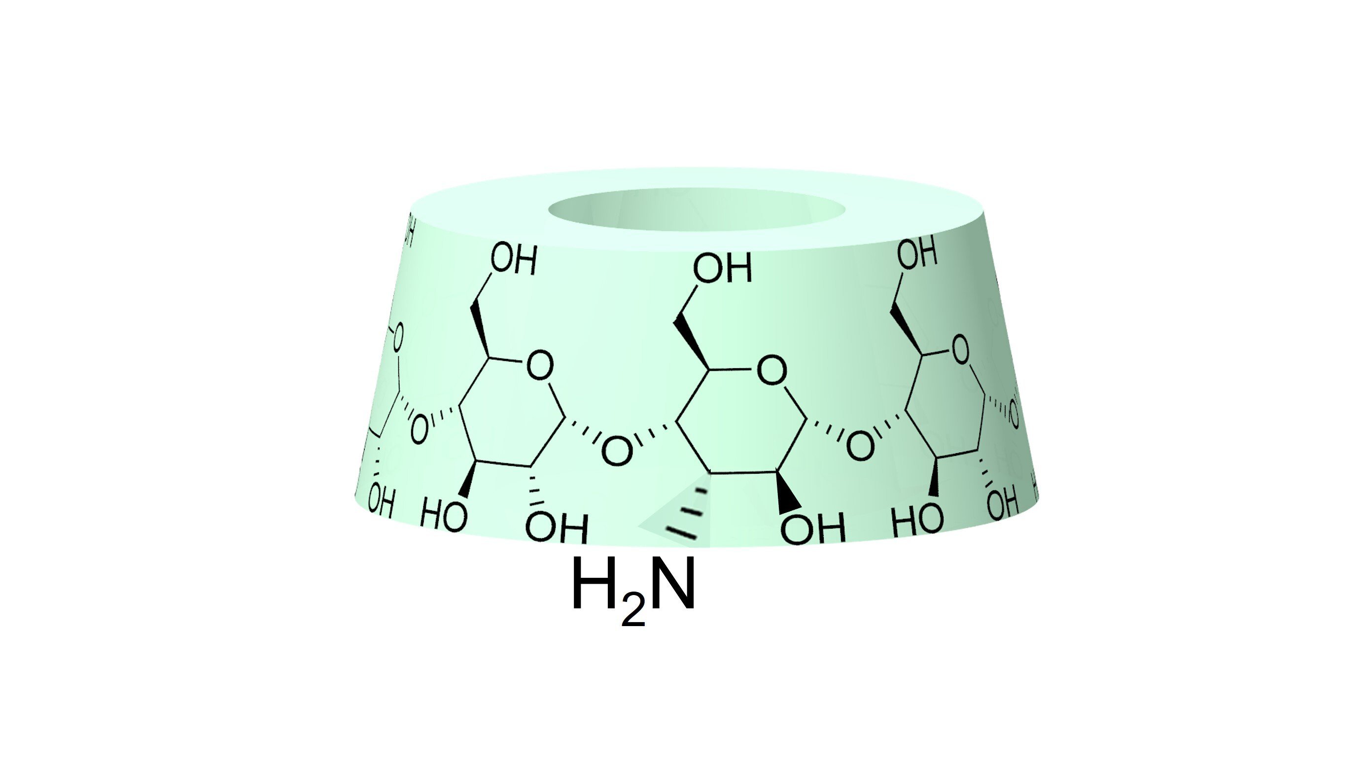 WIZARD MONOMER_3-NH2gCD-240617j