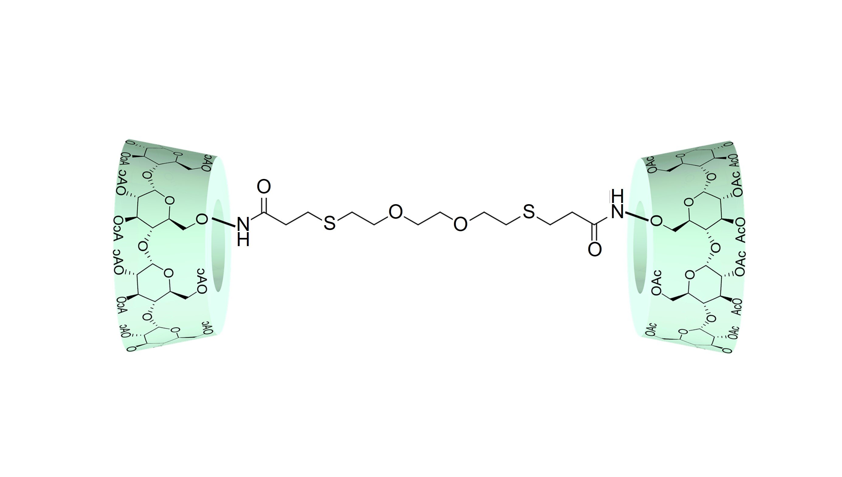 WIZARD MONOMER_Dimer-gCD-240617-j